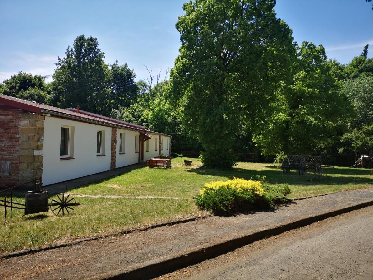 Green Apartments Lustenice Экстерьер фото